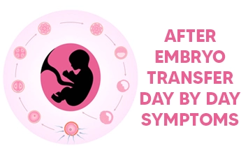 After Embryo Transfer Day By Day Symptoms