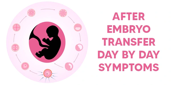 After Embryo Transfer Day By Day Symptoms banner 
