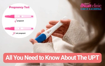 All You Need to Know About The UPT