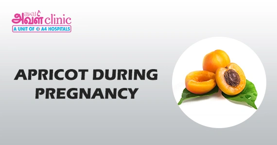 Apricot During Pregnancy