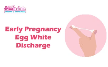 Early Pregnancy Egg White Discharge