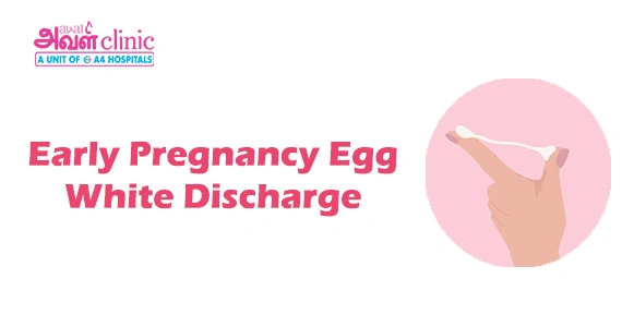 Early Pregnancy Egg White Discharge banner 