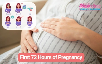 First 72 Hours Of Pregnancy Symptoms