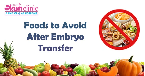 Foods To Avoid After Embryo Transfer banner 