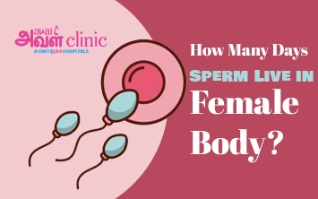 How Many Days Sperm Live in Female Body