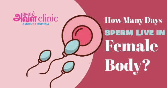 How many days sperm live in female body