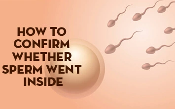 How to Confirm Whether Sperm Went Inside Thumbnail