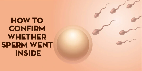 How to Confirm Whether Sperm Went Inside banner 