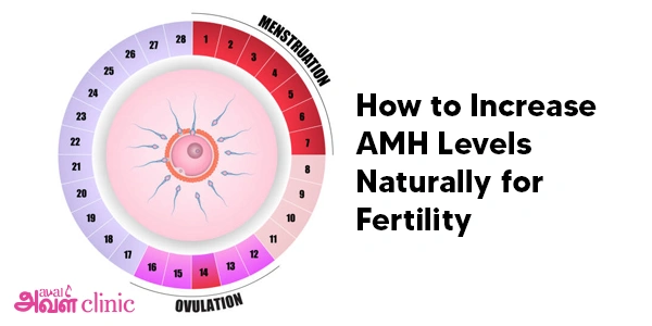 How to Increase AMH Levels Naturally for Fertility banner 