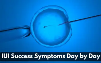 IUI Success Symptoms Day By Day Thumbnail