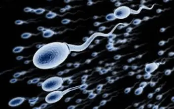 Fertility Male thumbnail