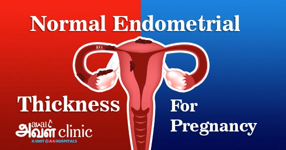 Normal Endometrial thickness for pregnancy banner 