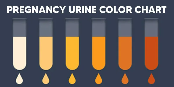 Pregnancy Urine Color Chart banner 