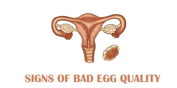 Signs of bad egg quality 